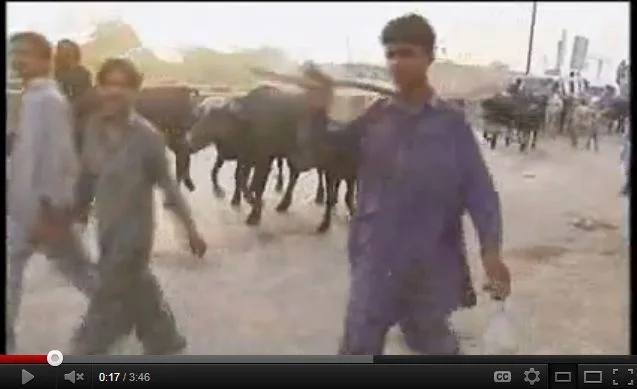 Screenshot from video