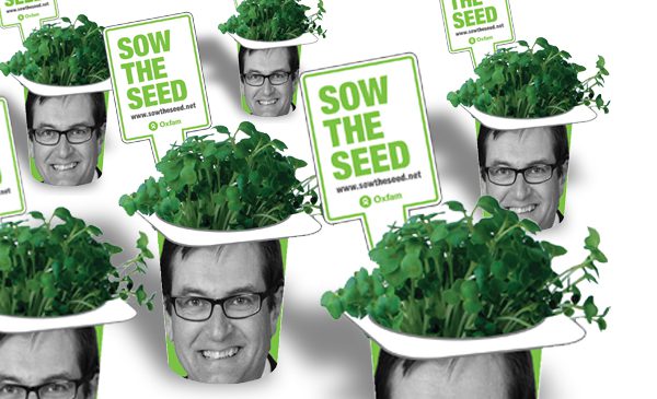 Sow the seed