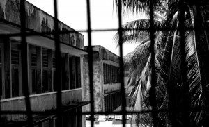 Photo: istock