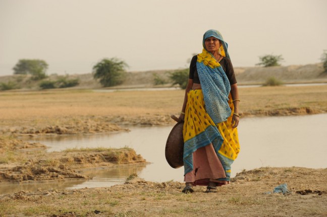 Prabhati Devi from Suraj ka Kheda Society, a village in Rajasthan gathers fodder for her buffalo October 27, 2010. Before the constant droughts affected the agriculture, all the family members would stay in her village for work but now they have been forced to migrate to cities for other livelihoods. Out of the 25 families living in the village, 10-15 have already migrated and they leave mainly women and children behind.