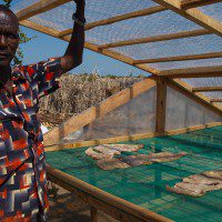 Herdsmen Who Fish.
