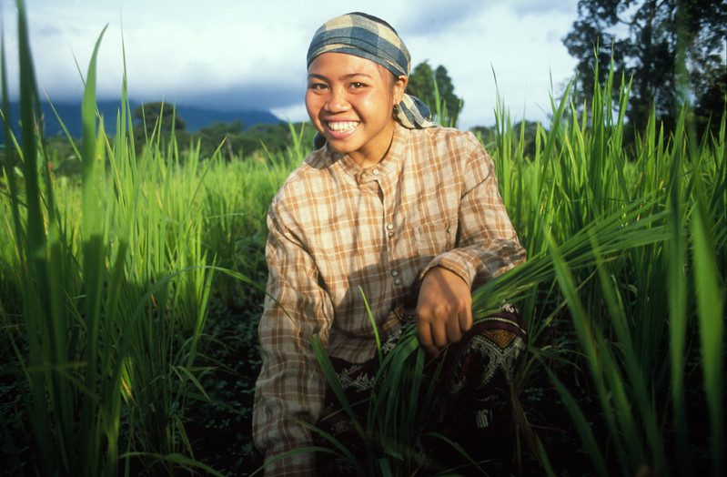 Naa Wan village, Vientiane Province, Laos