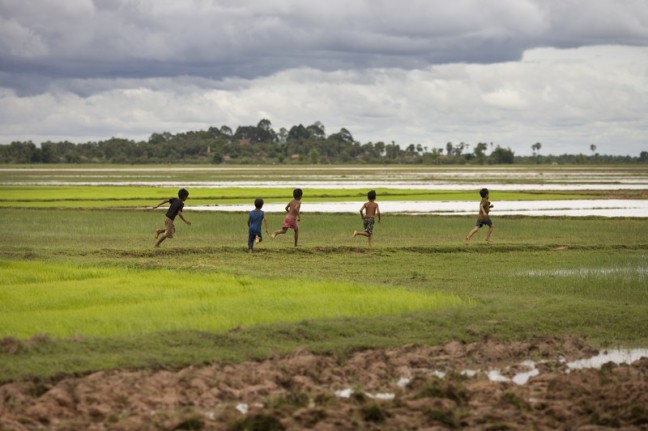 Rice-planting time in the great Mekong flood plain.