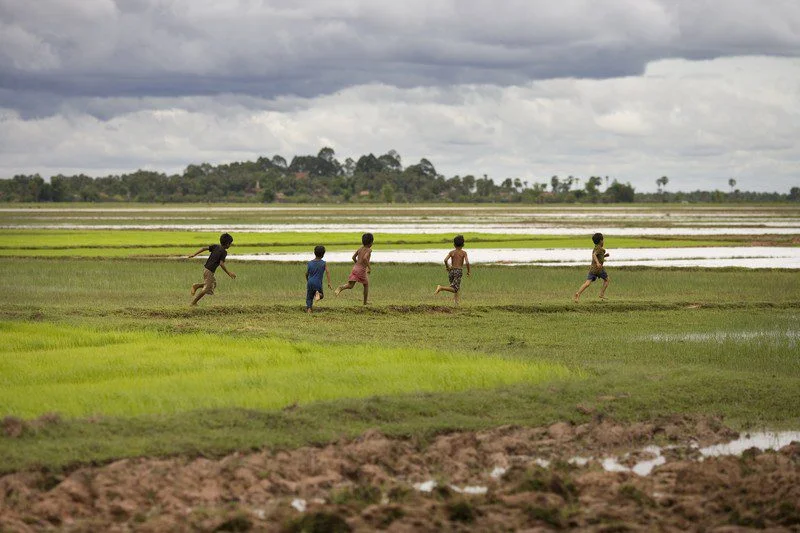 Rice-planting time in the great Mekong flood plain.