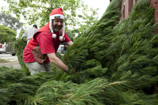 buy a christmas tree oxfam australia buy a christmas tree oxfam australia