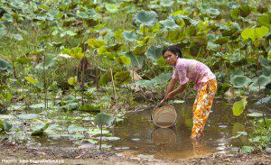 Photo: John Sones/OxfamAUS