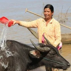 Photo: Dustin Barter/OxfamAUS