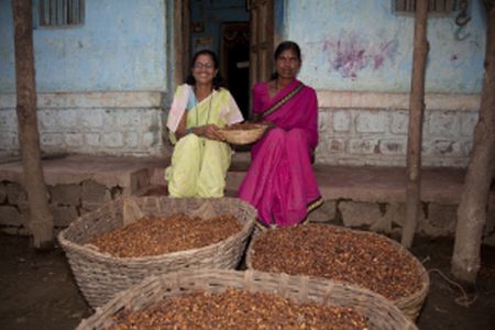 Gangabai and another member of her group, Baby Vishnu Raut, sitting with preserved forest flowers, used for herbal tea. Photo: Chris Johnson/OxfamAUS