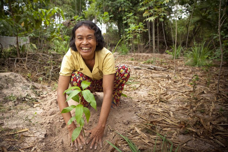A woman planting seedlings