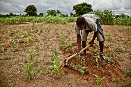 A young farmer working an unrehabilitated millet field. Photo: Pablo Tosco/Oxfam A young farmer working an unrehabilitated millet field. Photo: Pablo Tosco/Oxfam