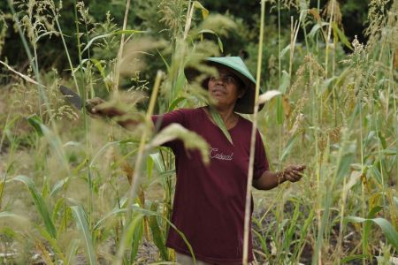 Maria Helen, who introduced Maria Loretha to the wonders of sorghum. Photo: Lara McKinley/OxfamAUS Maria Helen, who introduced Maria Loretha to the wonders of sorghum. Photo: Lara McKinley/OxfamAUS