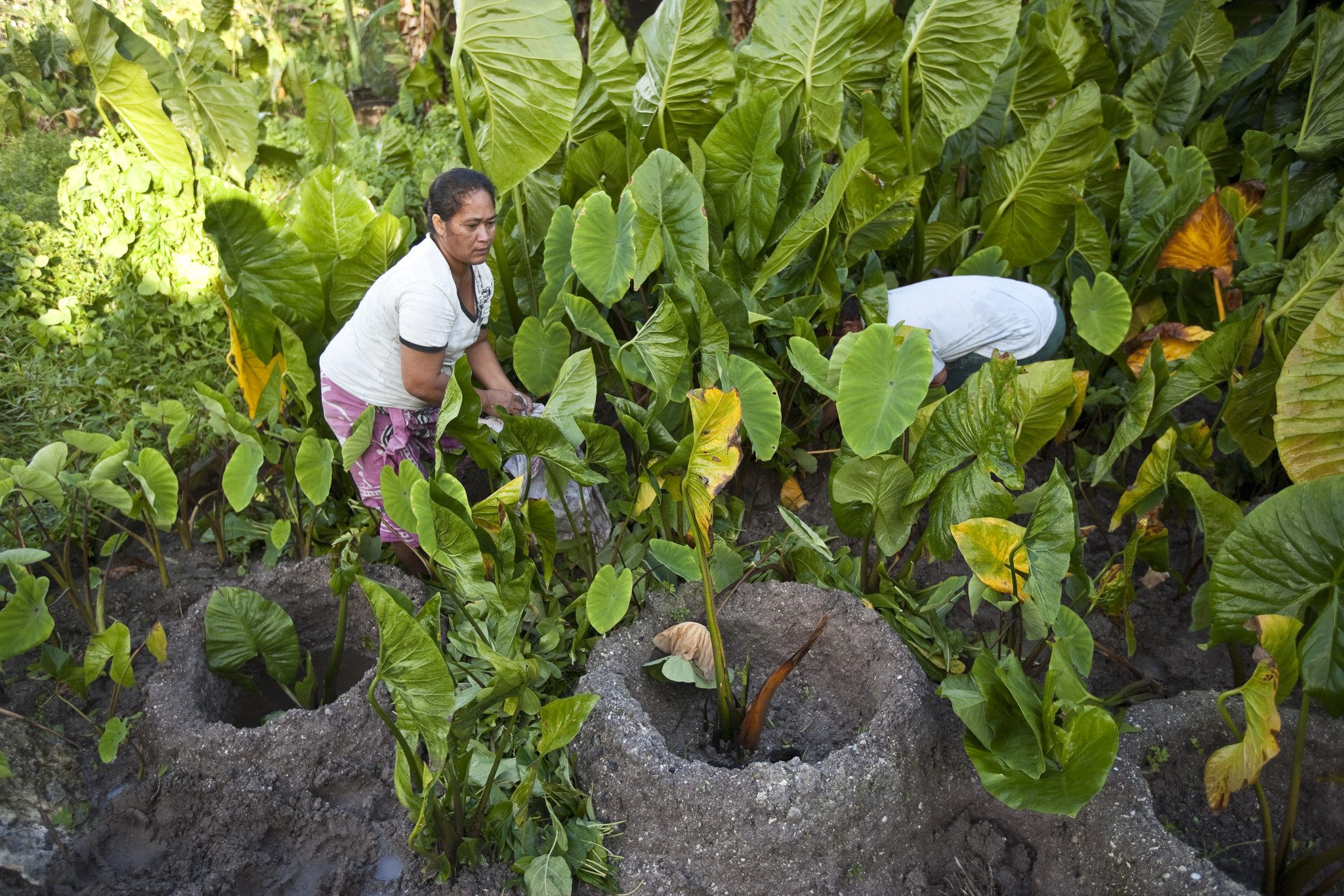 Photo: Rodney Dekker/OxfamAUS