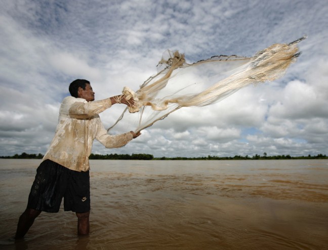 Lai sa-at from Samphin village goes fishing every day, usually twice a day. In the wet season he uses a range of methods to maximize his catch: gill nets, fish traps, hook and line and cast net. Lai sa-at and his family eat fish with every meal, which forms virtually their entire protein intake. Any fish that has not been eaten or sold are made into pra hok, the fermented fish paste which is a staple in Khmer cooking. Photo: Glenn Daniels/Manna Gum