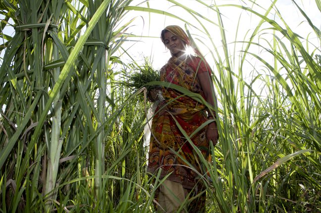 Photo: Peter Caton/OxfamAus