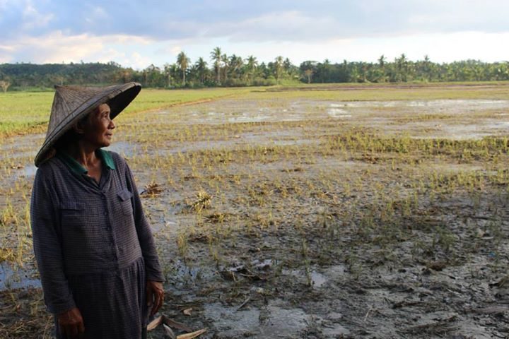 Hagupit_Estrella_JoanOdena