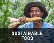 Sustainable-food