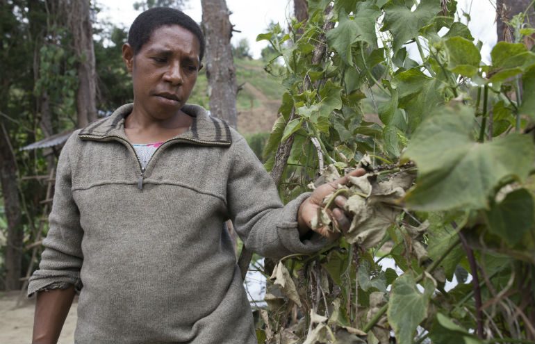 Photo: Rodney Dekker/OxfamAUS Photo: Rodney Dekker/OxfamAUS