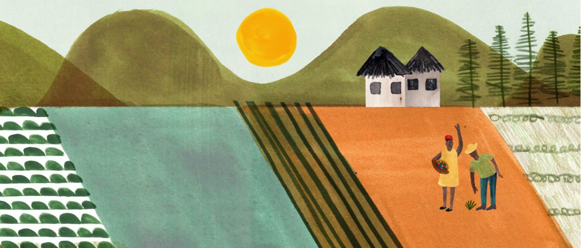 <em> The lush and modern veggie gardens card: a gift that can feed a family for the long-term.</em><br />
By Marc Martin