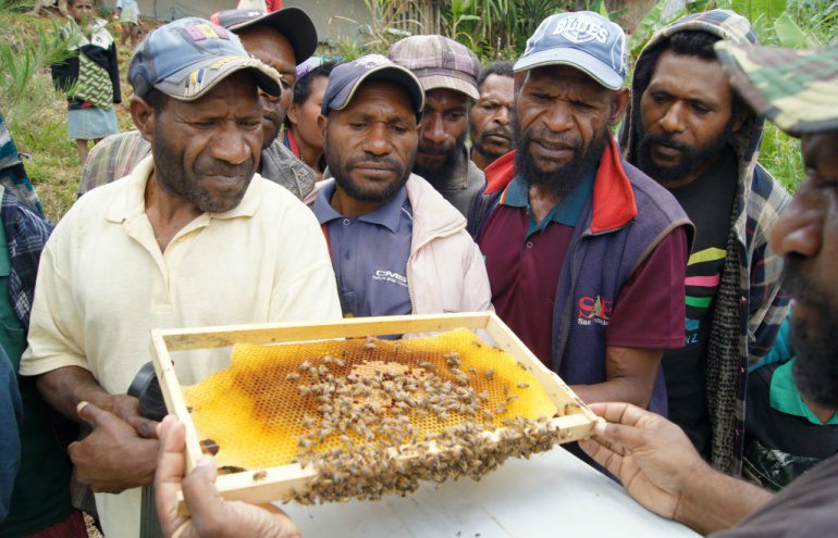 PNG beekeper sustainable business