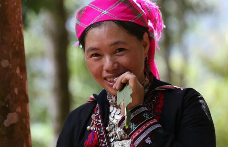 Cinnamon farmer Vietnam