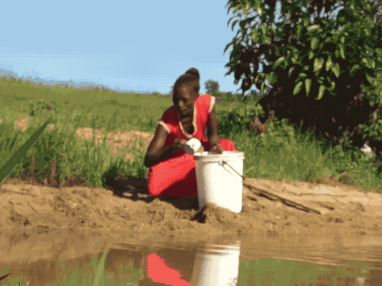 Ida collects contaminated water from the river in Zimbabawe