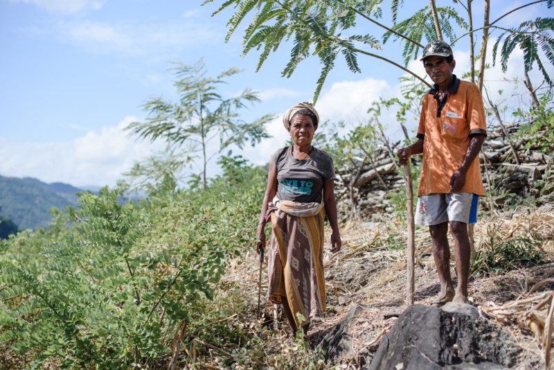 You can help our neighbours in Timor-Leste survive the hungry season