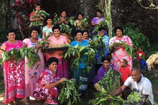 Participants of the ‘Shifting Power, Shifting Voice’ program show the fruits of their vanilla-farming efforts. Photo: Janet Lotawa/ Rise Beyond the Reef (RBTR) Participants of the ‘Shifting Power, Shifting Voice’ program show the fruits of their vanilla-farming efforts. Photo: Janet Lotawa/ Rise Beyond the Reef (RBTR)