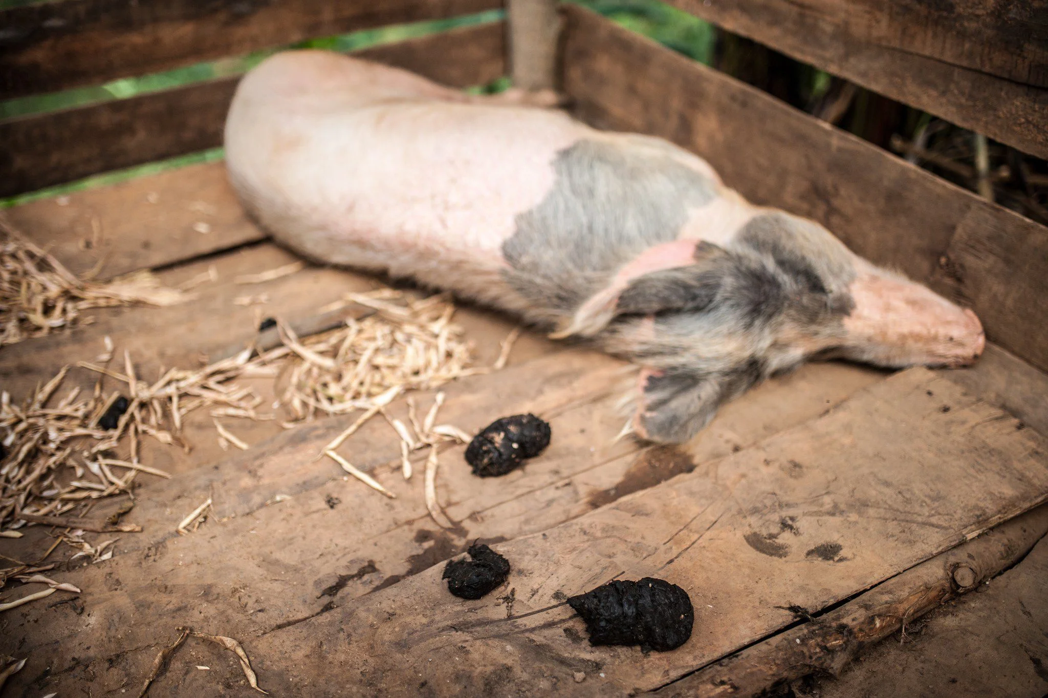Photo: Aurelie Marrier d'Unienville / Oxfam Help end poverty in Rwanda