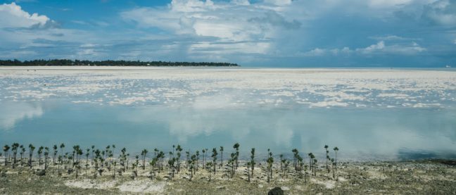 Kiribati. Ula Majewski/OxfamAUS