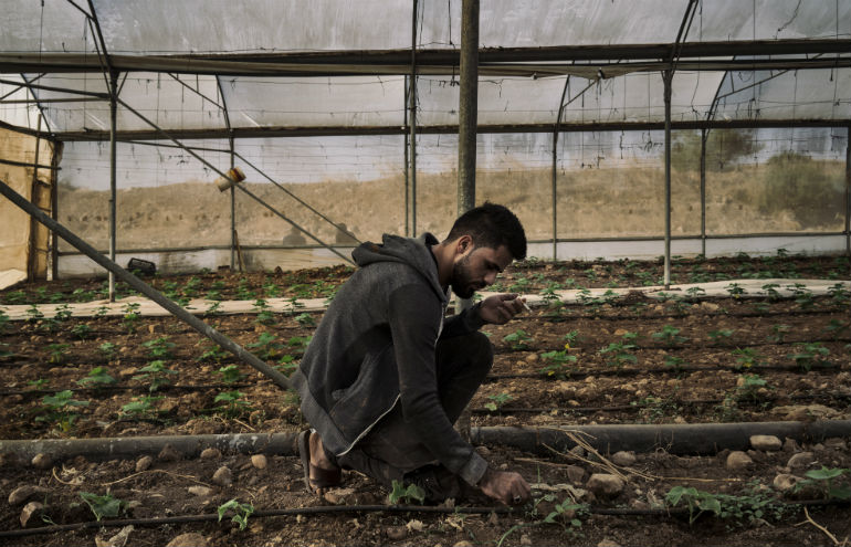 Suhaib Aref, 23 years old, farmerPhoto: Lorenzo Tugnoli / Oxfam Law student OTPI