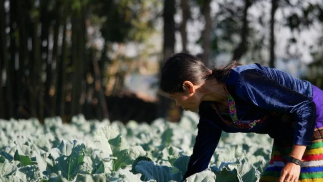 Photo: Savann Ouerm/Oxfam