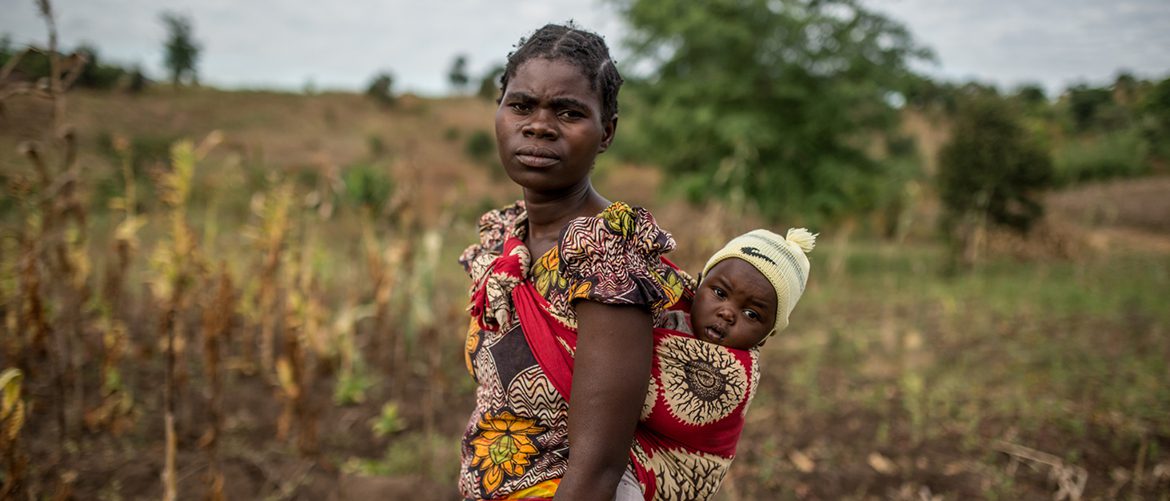 donate now to help families beat malnutrition in malawi