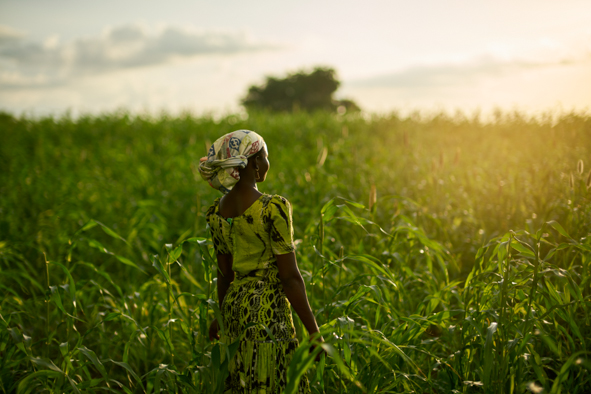 Climate Justice: Christina grows maize and she was shown how to make compost as part of the CRAFS (Climate Resilient Agriculture and Food Systems) programme.