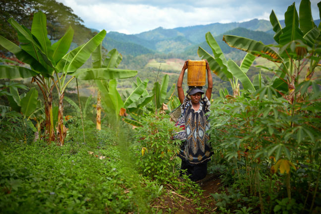 Eastern Highlands, Papua New Guinea: Helen John collects water near her village in the Eastern Highlands. Photo: Patrick Moran/OxfamAUS