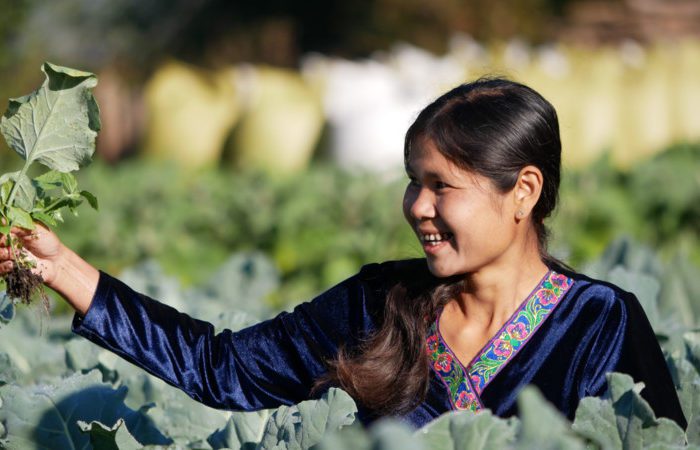 A smiling woman tends to crops
