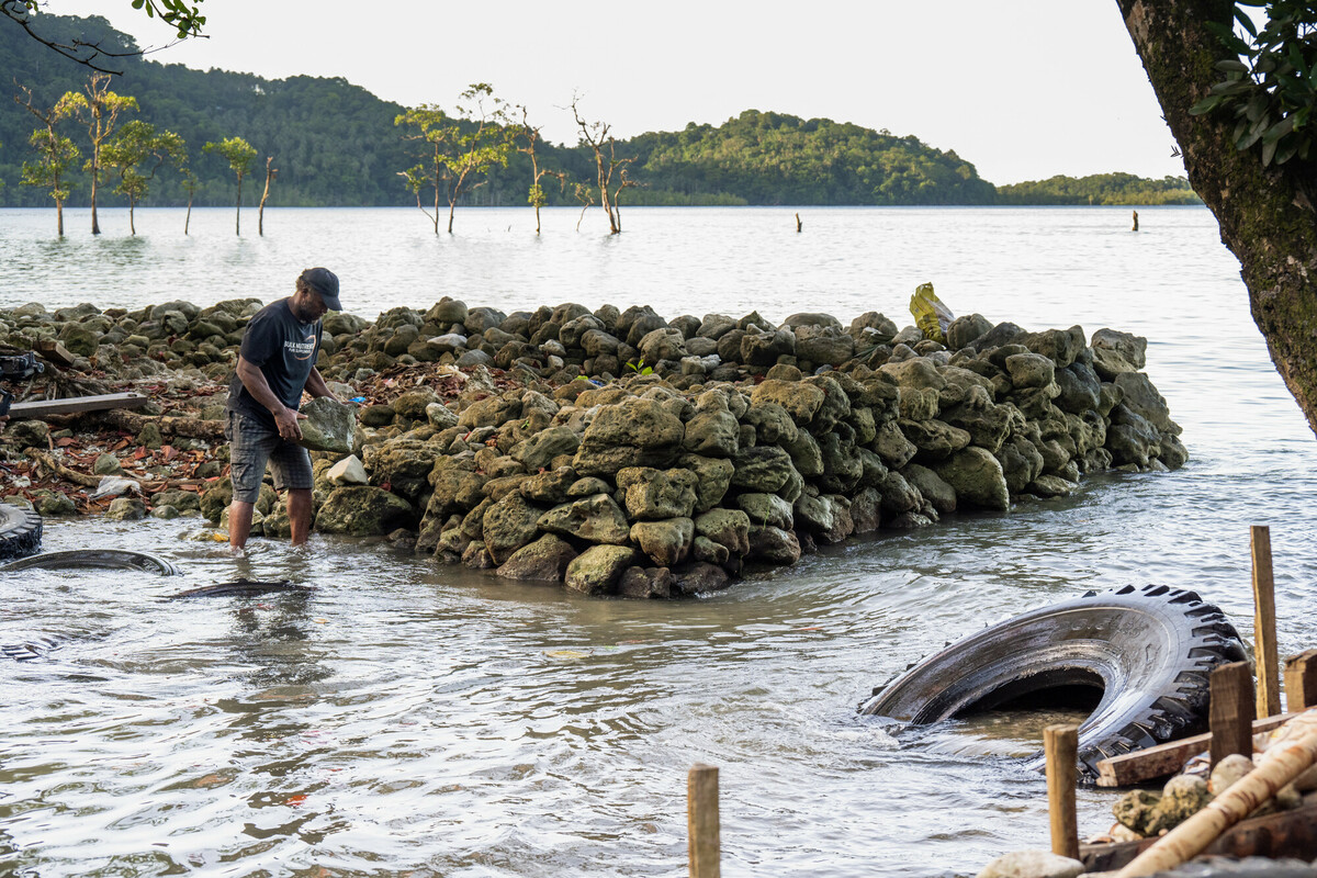 A section of the sea wall built by Martin Hau - Solomon Islands.