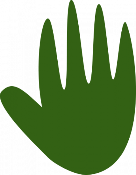 Promote feminist leadership