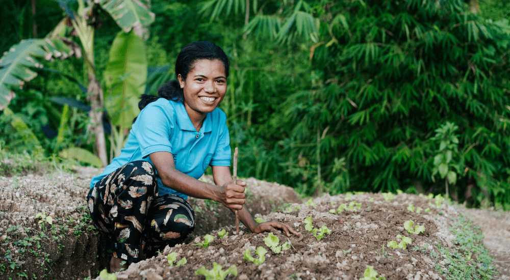 A woman smiles while gardening in TImor-Leste. Maria Bernadete, a member of Timor-Leste Organic Fertiliser Enterprise (TILOFE) who produce Timor-Leste’s only commercial organic fertiliser and is also conserving water at his property in Ermera through reforestation. TILOFE are advocating for a more diversified economy and specific budgetary support for agriculture in Timor-Leste. TILOFE are a local partner in Hadalan — Oxfam’s core influencing program in Timor-Leste that seeks a more diversified economy, to influence national debates, budgets and policy and bring youth, women, persons with disabilities, farmers and people in the municipalities to the table. By making a donation, you can support this vital work.