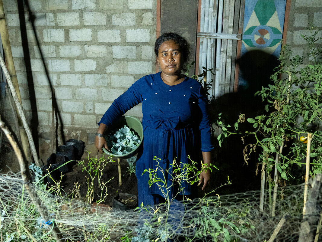 Mekko, Indonesia: Marlina (34) harvests kale from the plantation garden in front of her home. She and her husband, Said, have turned to gardening to be able to feed their family, having to adapt to climate change and the reduction of fish stock in the ocean. Photo: Vikram Sombu/Oxfam
