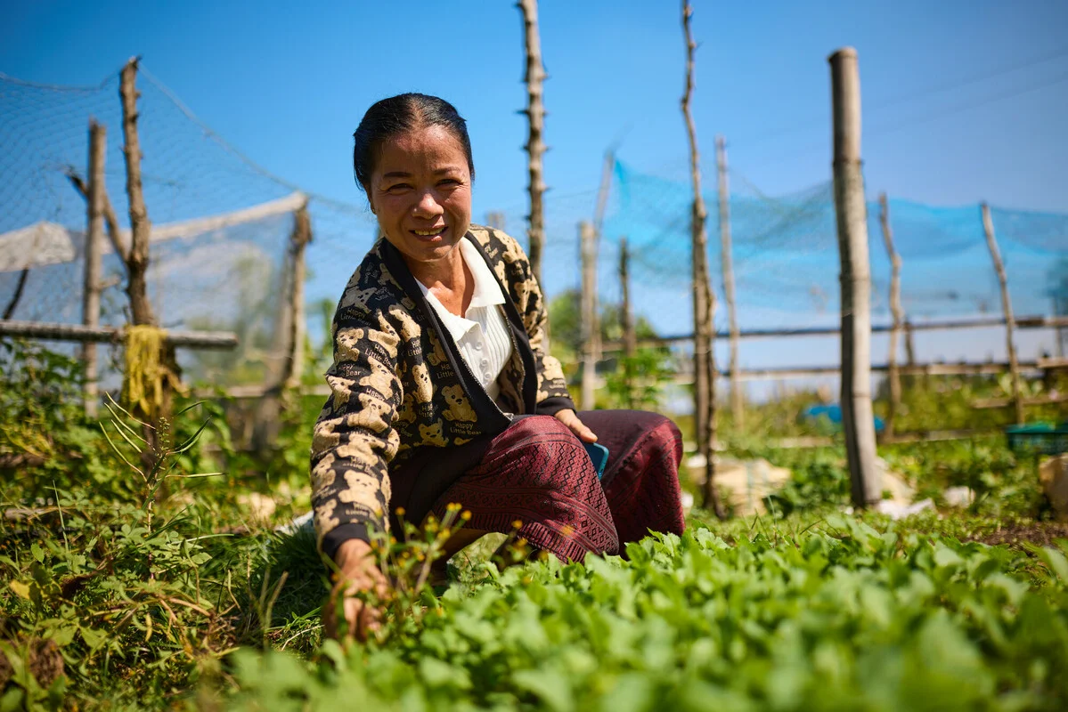 Sanasomboun, Lao People's Democratic Republic: Singnakhone in her garden, where she grows vegetables for the household. Patrick Moran/Oxfam Sanasomboun, Lao People's Democratic Republic: Singnakhone in her garden, where she grows vegetables for the household. Patrick Moran/Oxfam